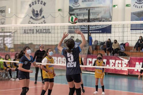 Olimpiadas BostonEduca: Vóleibol Mini Damas