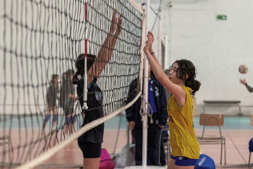 Olimpiadas BostonEduca: Vóleibol Mini Damas
