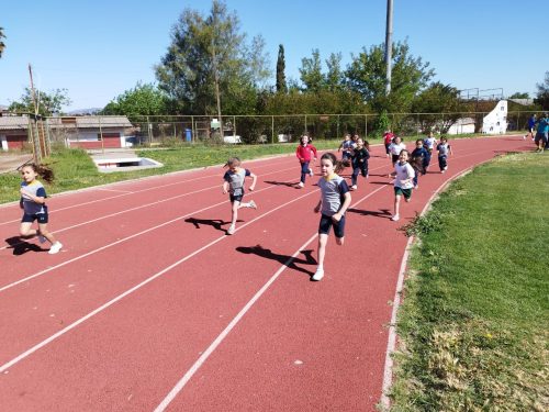 Olimpiadas BostonEduca: Atletismo Kínder
