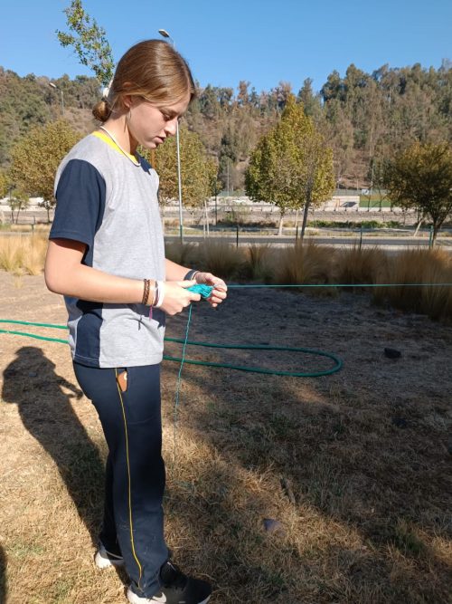 Trabajo de Campo: Diferenciado Biología Celular