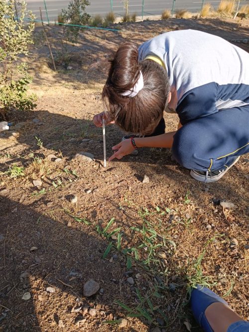 Trabajo de Campo: Diferenciado Biología Celular