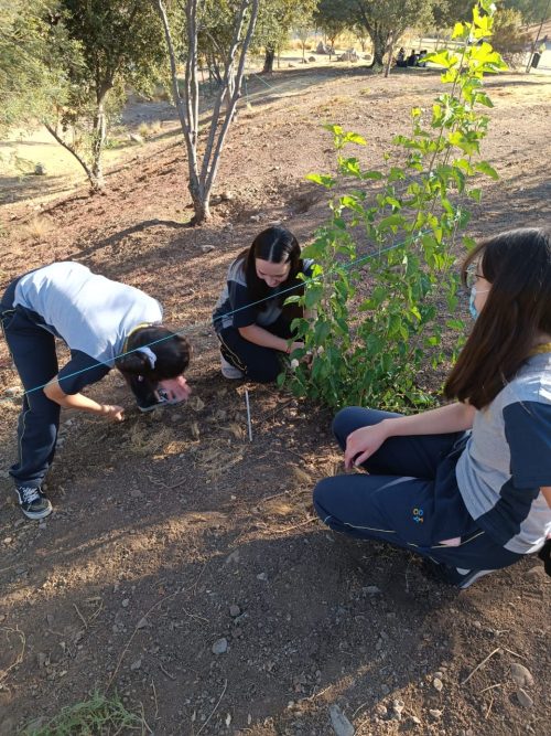 Trabajo de Campo: Diferenciado Biología Celular
