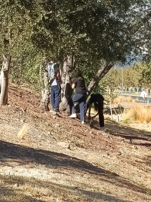 Trabajo de Campo: Diferenciado Biología Celular
