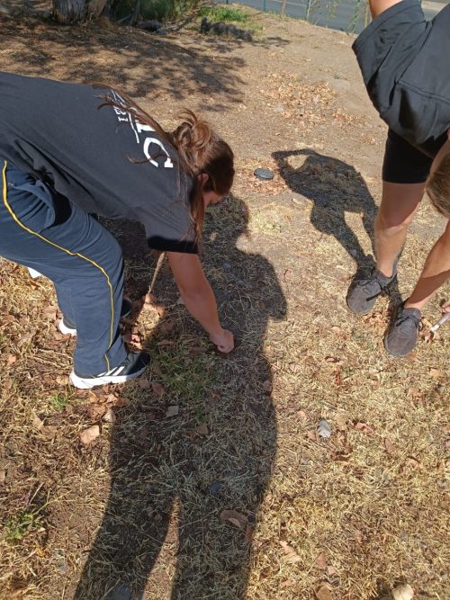 Trabajo de Campo: Diferenciado Biología Celular