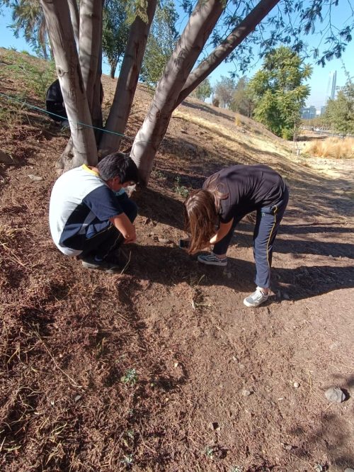 Trabajo de Campo: Diferenciado Biología Celular