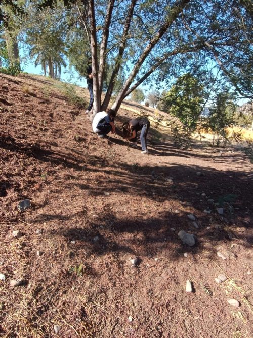 Trabajo de Campo: Diferenciado Biología Celular