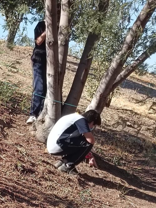 Trabajo de Campo: Diferenciado Biología Celular