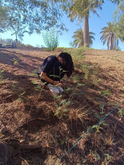 Trabajo de Campo: Diferenciado Biología Celular