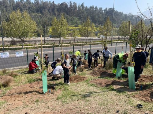Aportando a un Chile más sustentable
