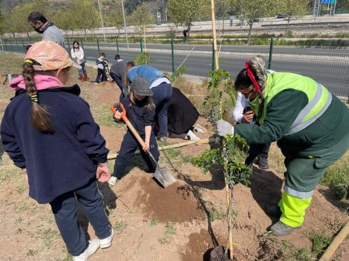 Aportando a un Chile más sustentable