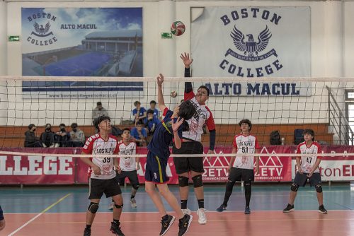 Olimpiadas BostonEduca: Vóleibol Varones Intermedia