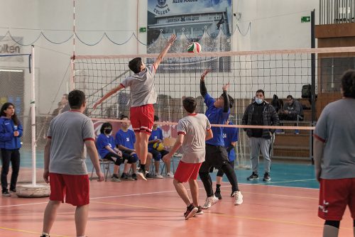 Olimpiadas BostonEduca: Vóleibol Varones Intermedia