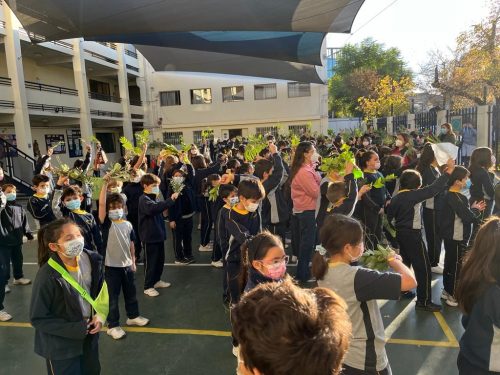 Celebración Domingo de Ramos