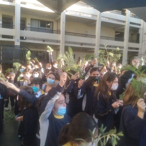 Celebración Domingo de Ramos