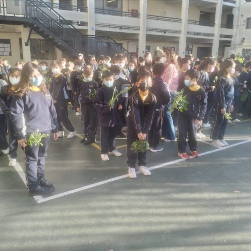Celebración Domingo de Ramos