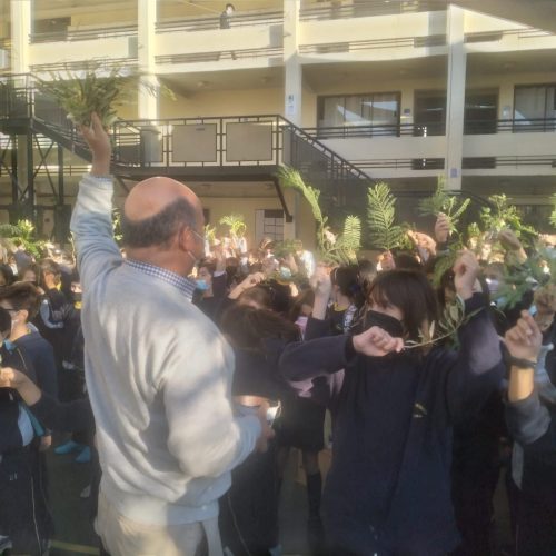 Celebración Domingo de Ramos