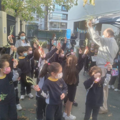 Celebración Domingo de Ramos