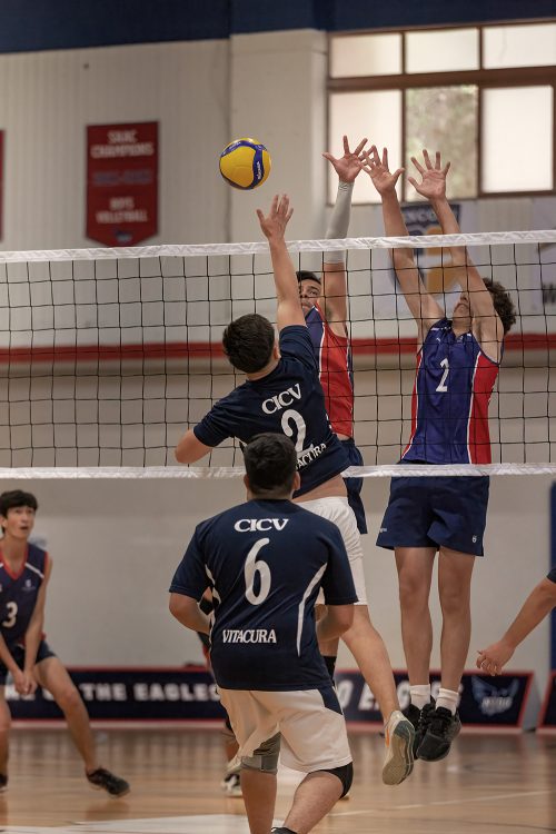 Final Copa Nido de Águilas Vóleibol