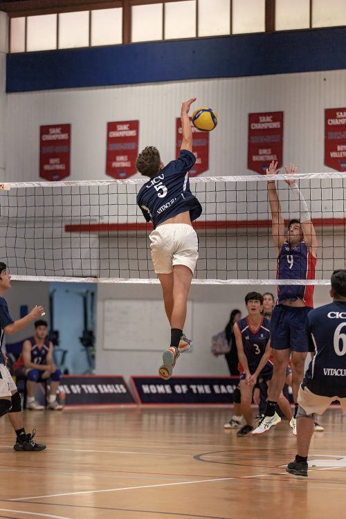 Final Copa Nido de Águilas Vóleibol