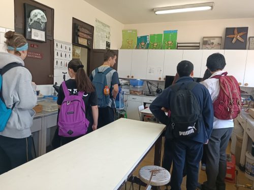 Nuestros(as) estudiantes visitan la Universidad Metropolitana de Ciencias de la Educación