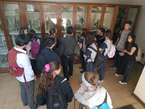 Nuestros(as) estudiantes visitan la Universidad Metropolitana de Ciencias de la Educación