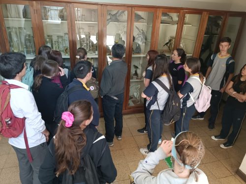 Nuestros(as) estudiantes visitan la Universidad Metropolitana de Ciencias de la Educación