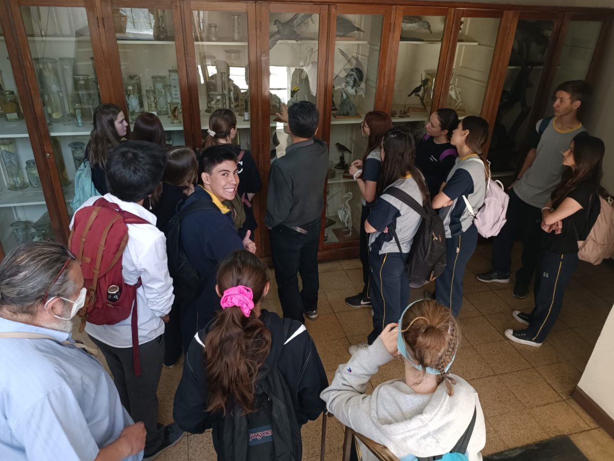 Nuestros(as) estudiantes visitan la Universidad Metropolitana de Ciencias de la Educación