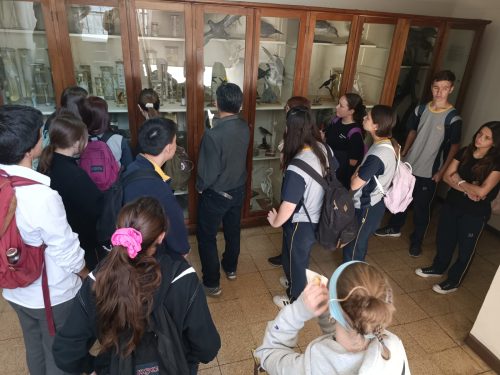 Nuestros(as) estudiantes visitan la Universidad Metropolitana de Ciencias de la Educación