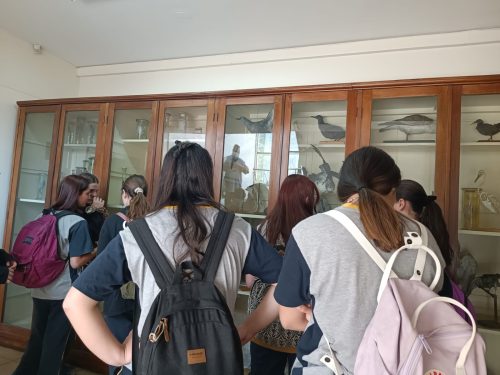 Nuestros(as) estudiantes visitan la Universidad Metropolitana de Ciencias de la Educación