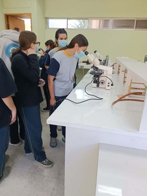 Nuestros(as) estudiantes visitan la Universidad Metropolitana de Ciencias de la Educación