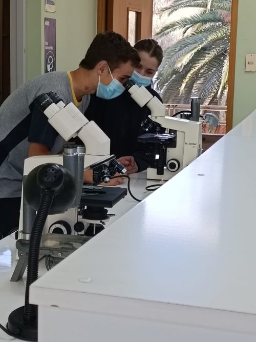 Nuestros(as) estudiantes visitan la Universidad Metropolitana de Ciencias de la Educación