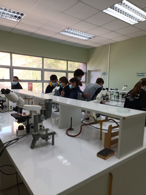 Nuestros(as) estudiantes visitan la Universidad Metropolitana de Ciencias de la Educación