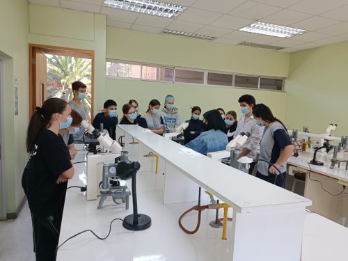 Nuestros(as) estudiantes visitan la Universidad Metropolitana de Ciencias de la Educación