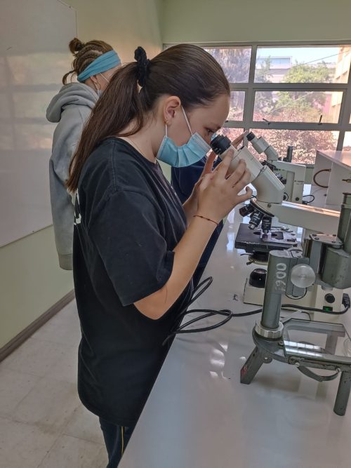 Nuestros(as) estudiantes visitan la Universidad Metropolitana de Ciencias de la Educación