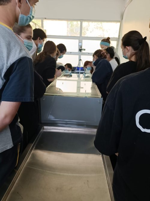 Nuestros(as) estudiantes visitan la Universidad Metropolitana de Ciencias de la Educación