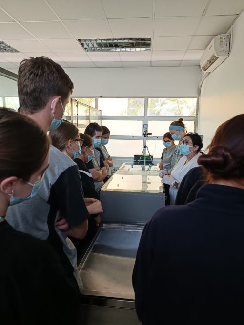 Nuestros(as) estudiantes visitan la Universidad Metropolitana de Ciencias de la Educación