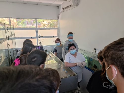 Nuestros(as) estudiantes visitan la Universidad Metropolitana de Ciencias de la Educación