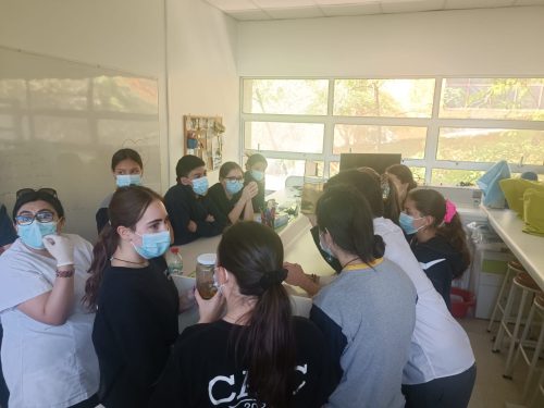 Nuestros(as) estudiantes visitan la Universidad Metropolitana de Ciencias de la Educación