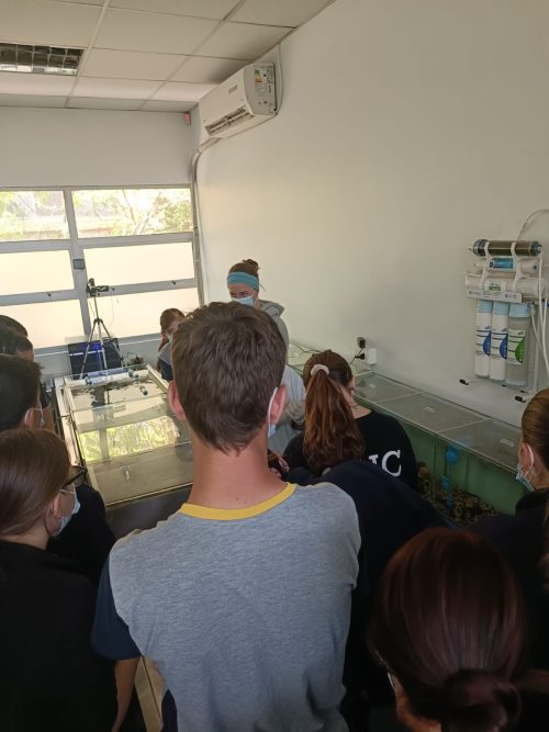 Nuestros(as) estudiantes visitan la Universidad Metropolitana de Ciencias de la Educación