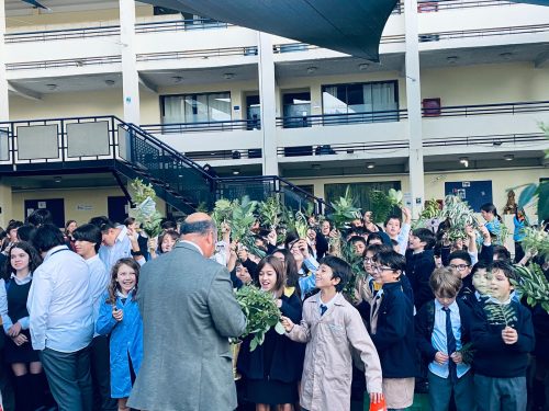 Inicio Semana Santa – Celebración Domingo de Ramos