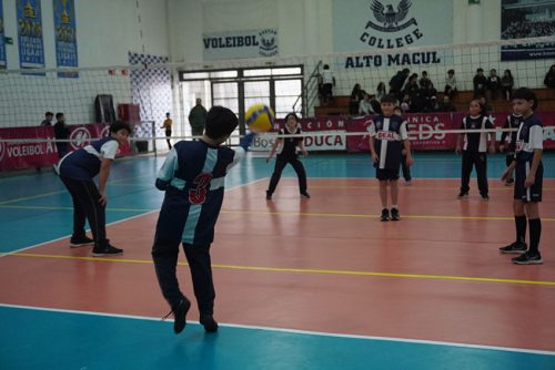 Vóleibol Mini Varones – Olimpiadas BostonEduca 2023