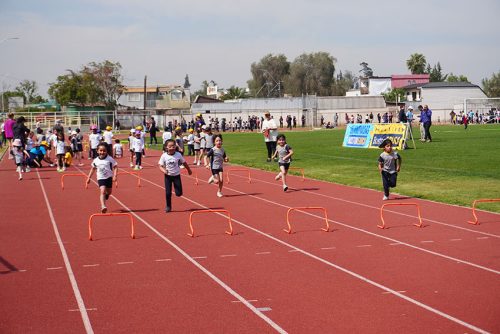 Atletismo Pre Escolar – Olimpiadas BostonEduca 2023