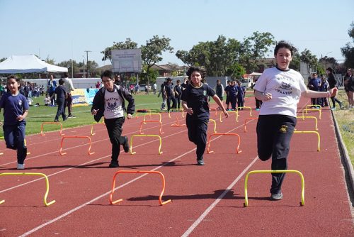 Atletismo 1° a 6° Básico – Olimpiadas BostonEduca 2023