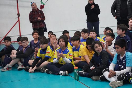 Vóleibol Mini Varones – Olimpiadas BostonEduca 2024