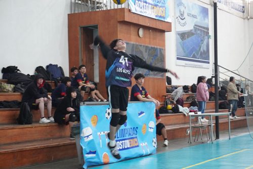 Vóleibol Intermedia Varones – Olimpiadas BostonEduca 2024