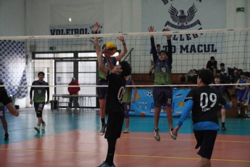 Vóleibol Intermedia Varones – Olimpiadas BostonEduca 2024