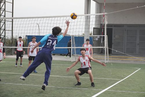 Vóleibol Intermedia Varones – Olimpiadas BostonEduca 2024