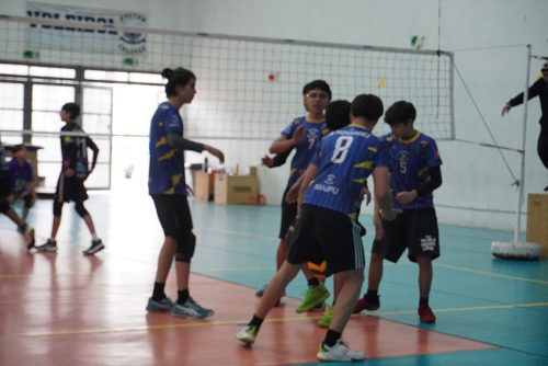 Vóleibol Intermedia Varones – Olimpiadas BostonEduca 2024