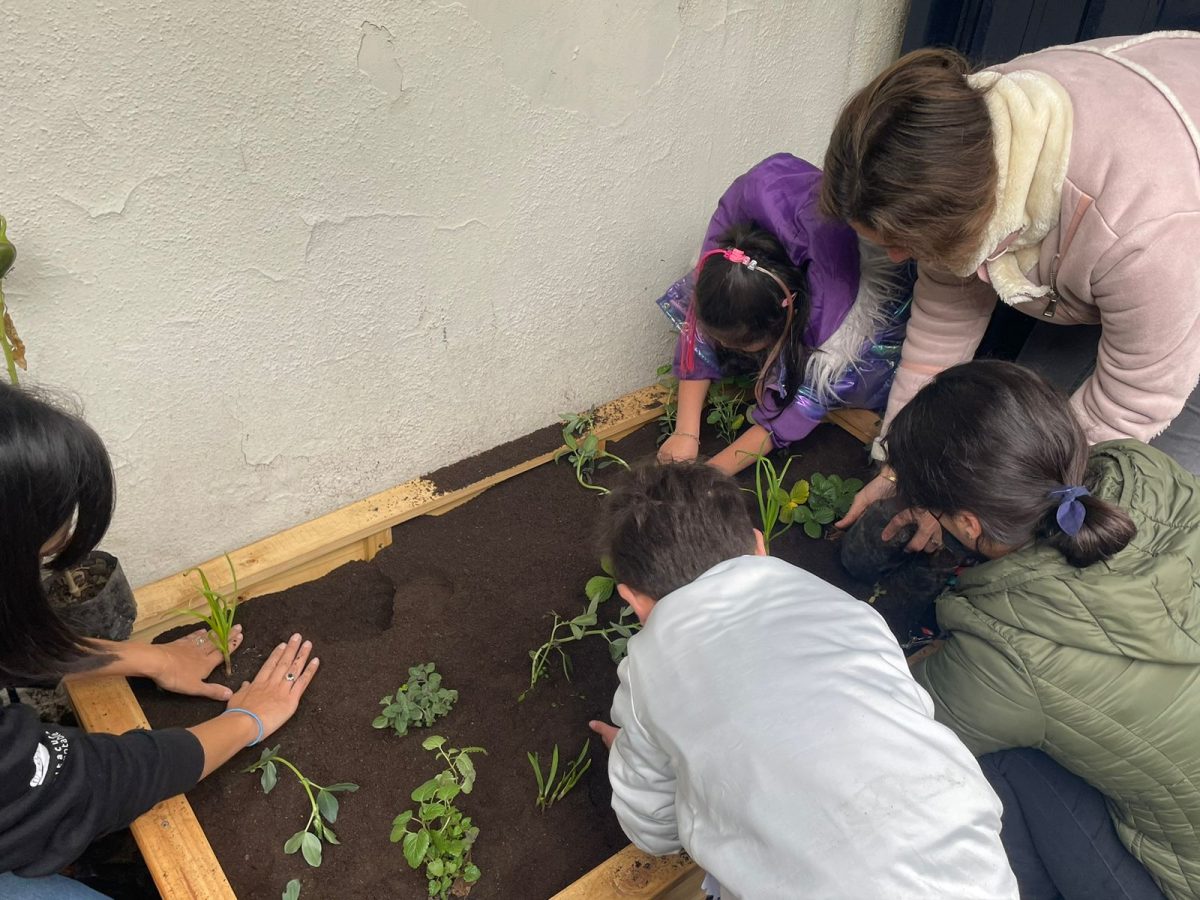 Nuestros niños/as se vinculan con la naturaleza