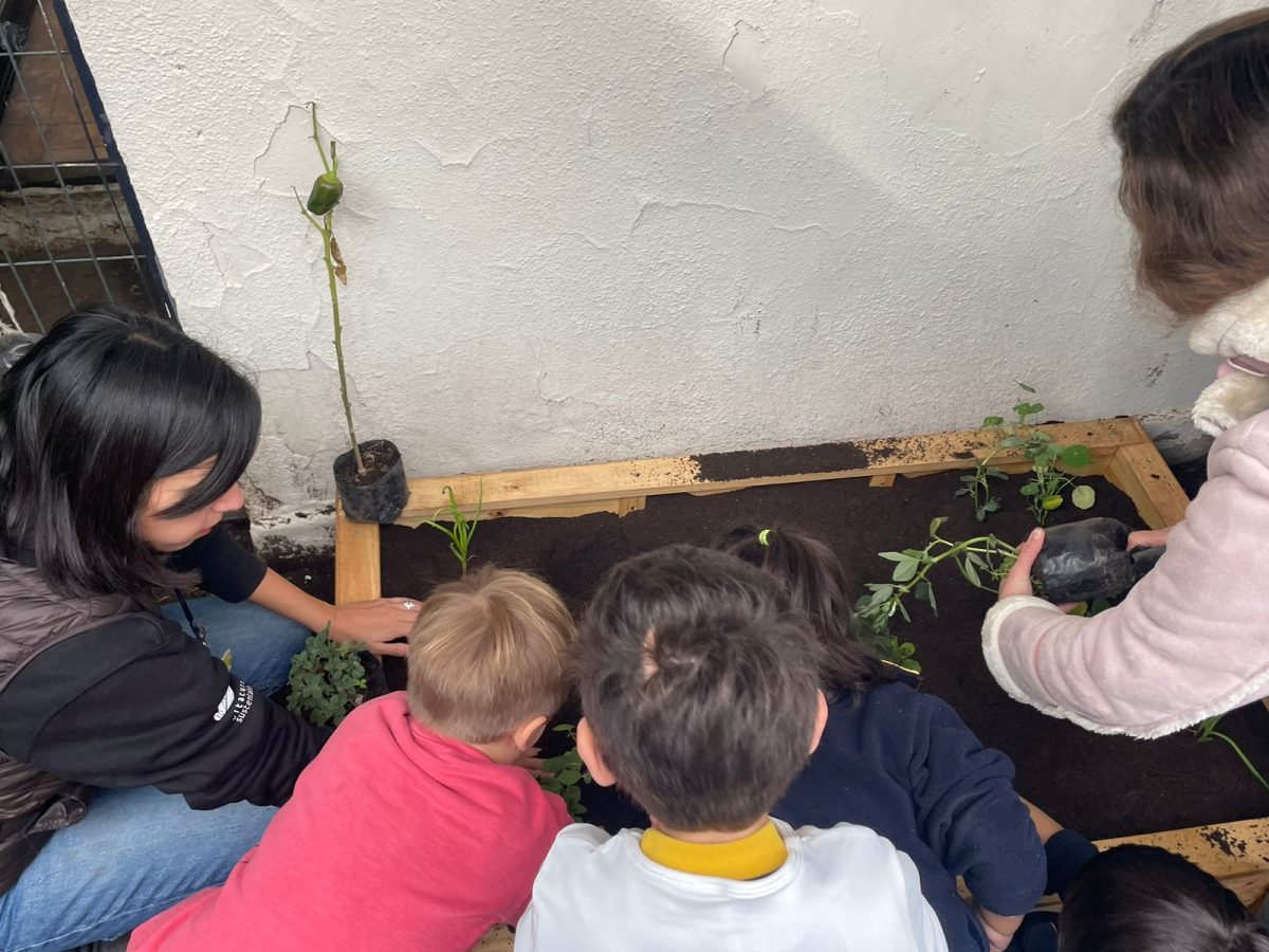 Nuestros niños/as se vinculan con la naturaleza